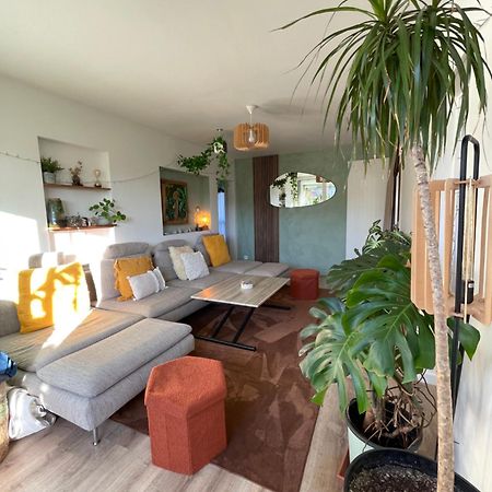 Appartement T3 - Foret & Plage Англе Экстерьер фото